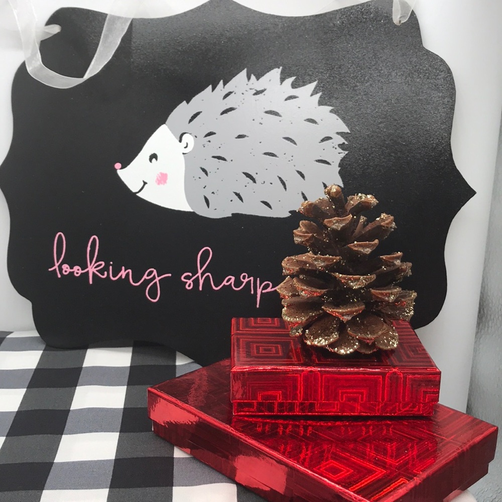 💕Hedgehog Looking sharp wall plaque💕